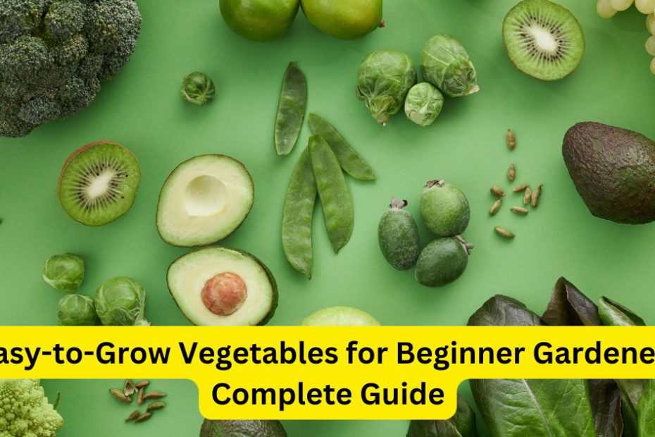 17 Easy-to-Grow Vegetables for Beginner Gardeners: A Complete Guide