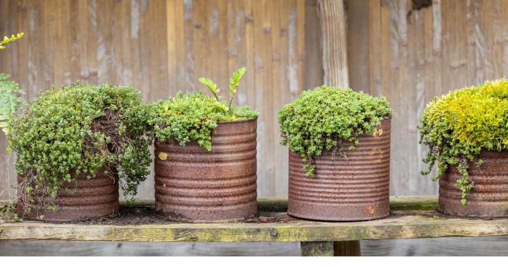 Infographic showing the cycle of herb gardening success, including steps like choosing the right herbs, picking the perfect spot, using the right containers, watering wisely, protecting from pests, and harvesting regularly.