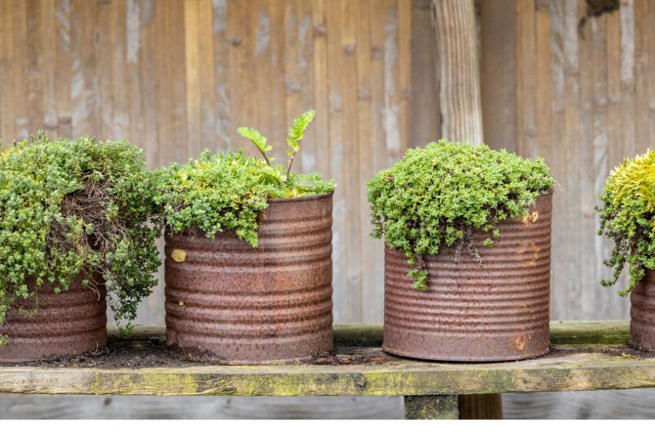 Infographic showing the cycle of herb gardening success, including steps like choosing the right herbs, picking the perfect spot, using the right containers, watering wisely, protecting from pests, and harvesting regularly.