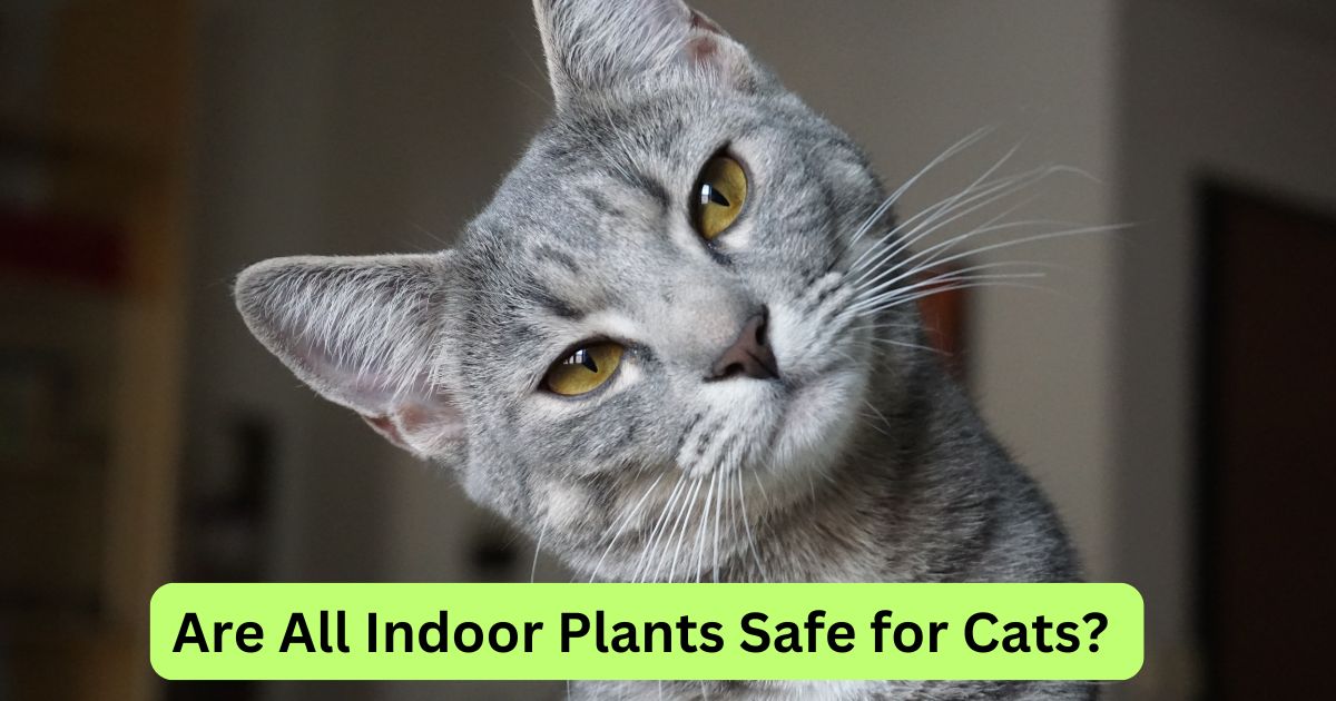 Are All Indoor Plants Safe for Cats? A Comprehensive Guide.