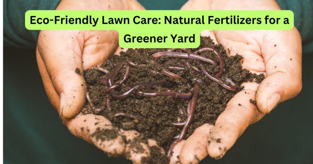 Eco-Friendly Lawn Care: Natural Fertilizers for a Greener Yard