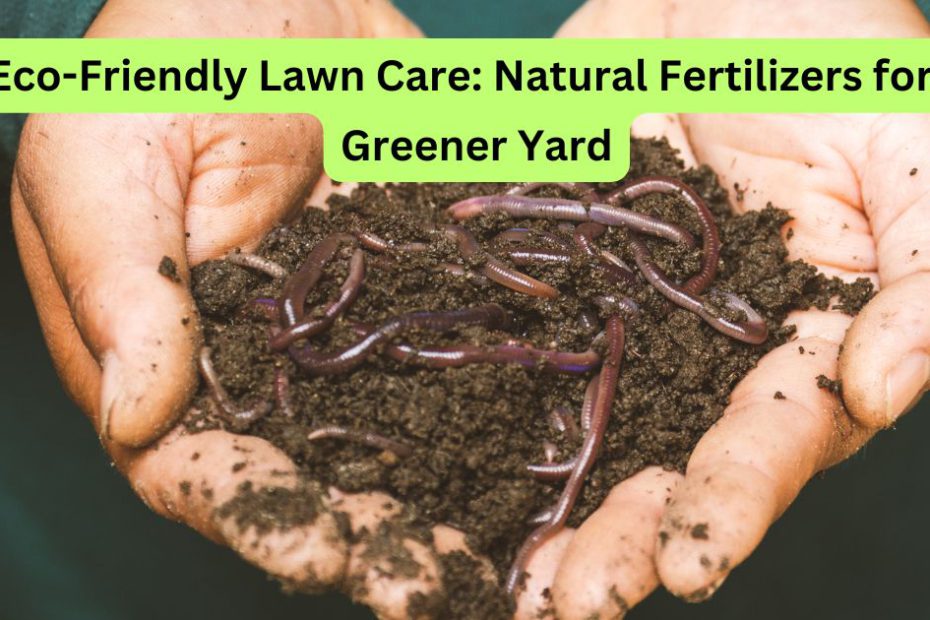 Eco-Friendly Lawn Care: Natural Fertilizers for a Greener Yard