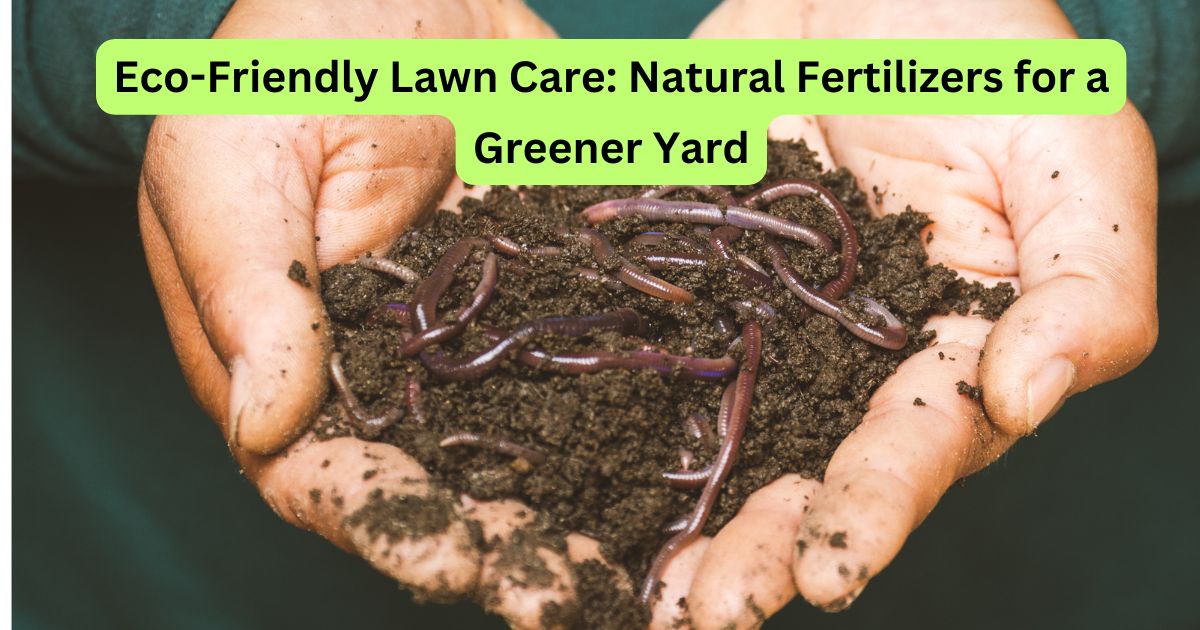 Eco-Friendly Lawn Care: Natural Fertilizers for a Greener Yard