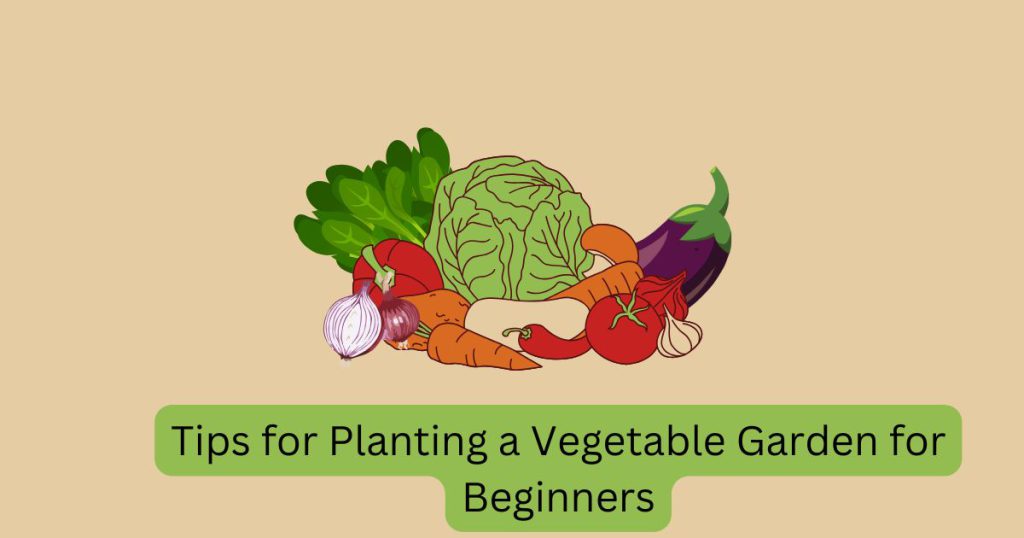 good beginner garden vegetables, good plants for beginner gardeners, good vegetables for beginner gardeners, hydroponic plants for beginners, planting a vegetable garden for beginners, planting vegetable seeds for beginners, planting vegetables in pots for beginners, tomato plants for beginners,vegetable plants for beginners, vegetables for beginner gardeners.lettuce grow, raised beds, cucumber trellis, garden seeds, organic seeds, seed companies, seed catalogs, tomato seeds, seed potatoes for sale, tomato plants, indoor vegetable garden, potato grow bags, vegetable seeds for sale, vegetable seeds online, vegetable plants, tomato stakes, organic vegetable seeds, heirloom tomato seeds, raised beds for sale, raised garden bed plans, garden seeds for sale, raised vegetable beds, heirloom seeds for sale, vegetable plants for sale, lettuce seeds, tomato trellis, raised vegetable garden, carrot seeds, tomato seeds for sale, cucumber seeds, heirloom vegetable seeds, onion seeds, heritage seeds, tomato grow bags, sweet corn seed