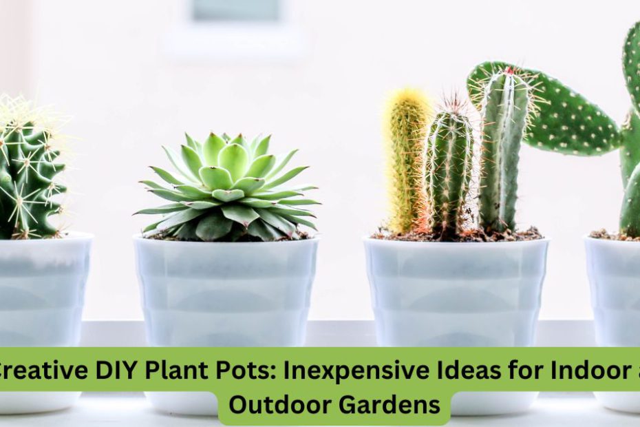 Creative DIY Plant Pots: Inexpensive Ideas for Indoor and Outdoor Gardens