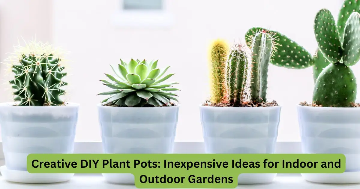 Creative DIY Plant Pots: Inexpensive Ideas for Indoor and Outdoor Gardens