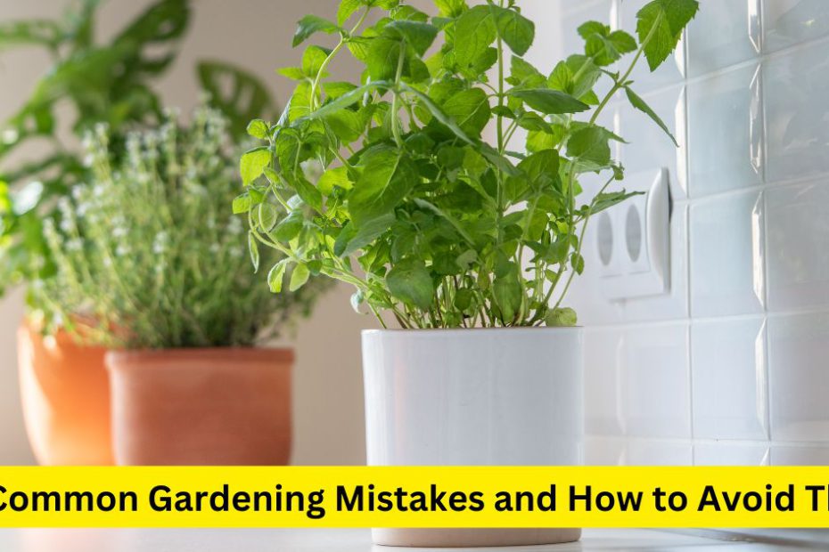 5 Common Gardening Mistakes and How to Avoid Them