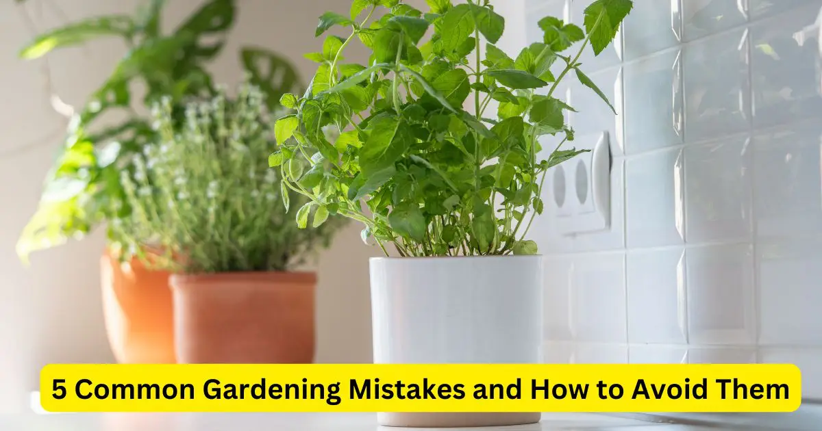 5 Common Gardening Mistakes and How to Avoid Them